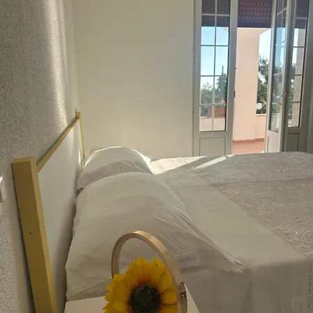 Bed & Breakfast Mater