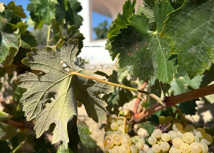 Mater Bed & Breakfast