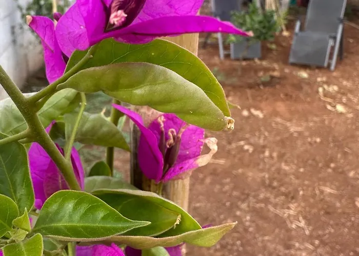 Bed & Breakfast Mater Capilungo